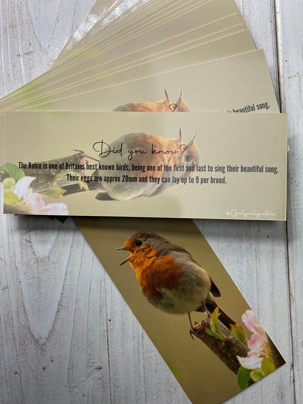 Robin Bookmark - Swindon wildlife photography
