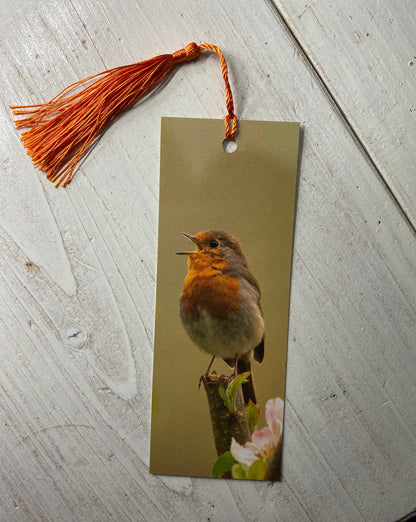 Robin Bookmark - Swindon wildlife photography