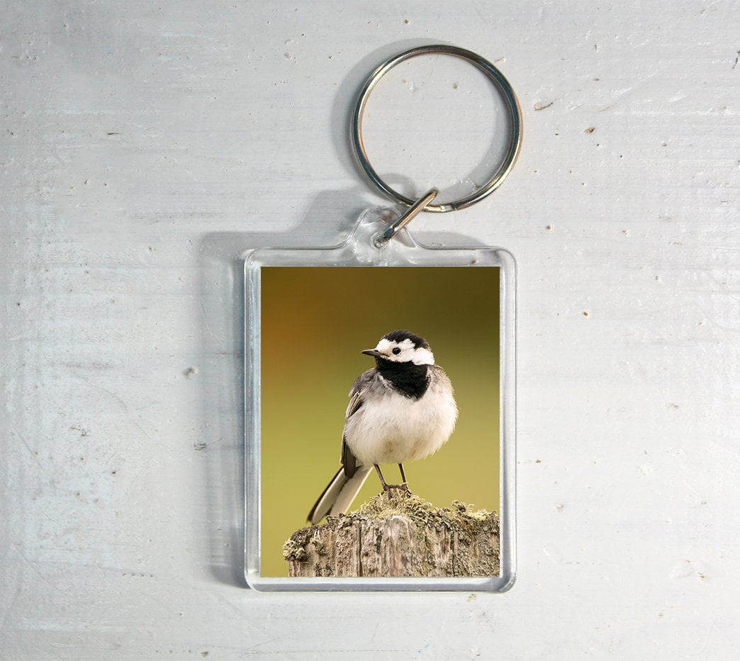 Pied Wagtail Keyring - British wildlife photography keychain