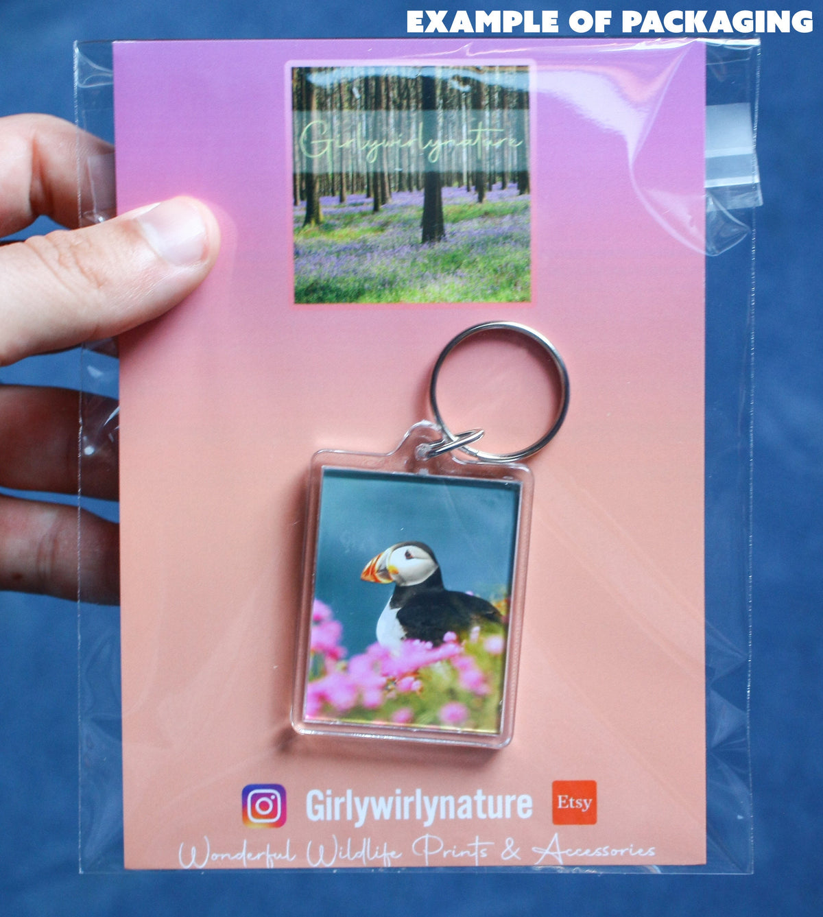 Puffin Keyring - coastal wildlife photography keychain