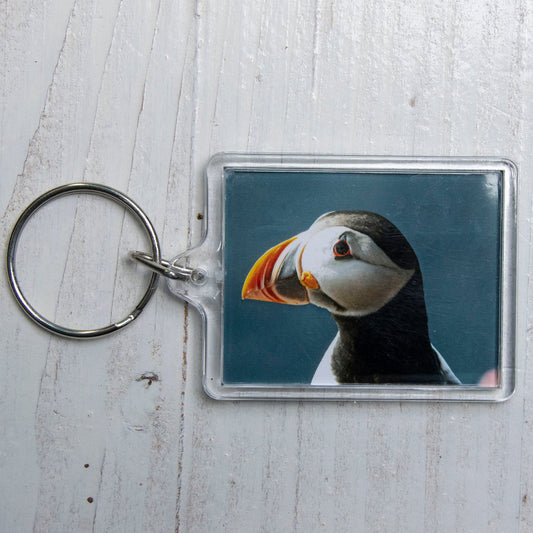 Puffin Keyring - coastal wildlife photography keychain