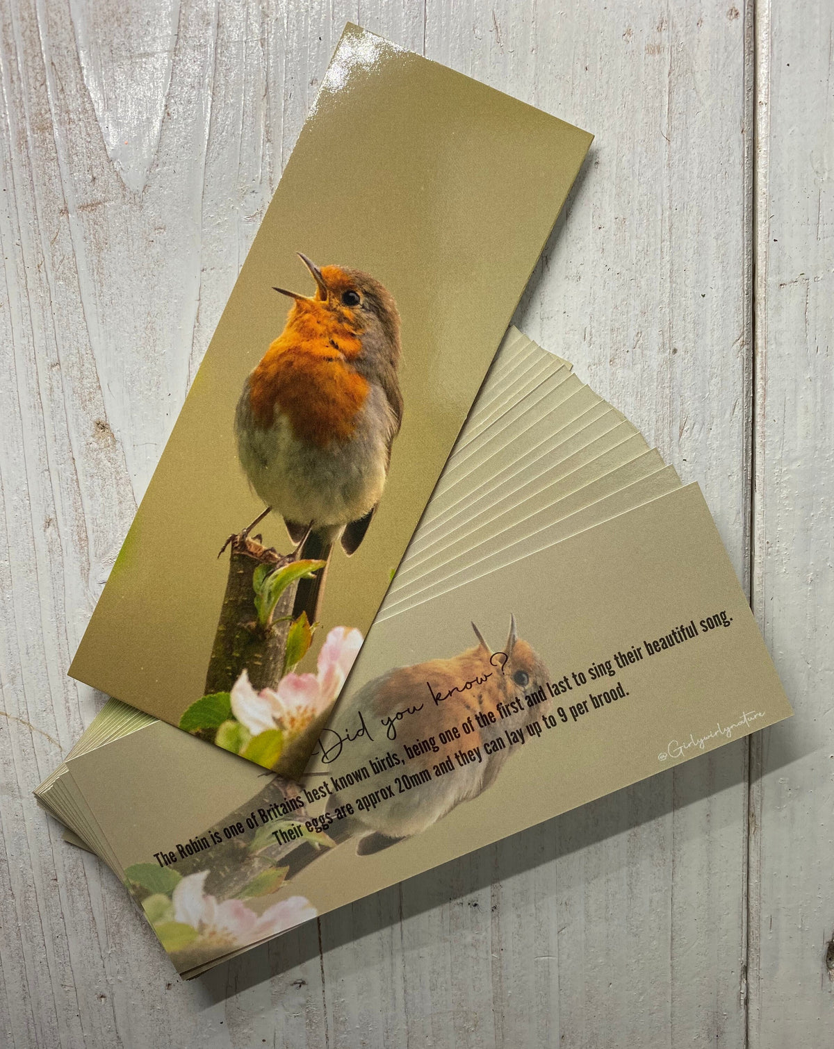Robin Bookmark - Swindon wildlife photography