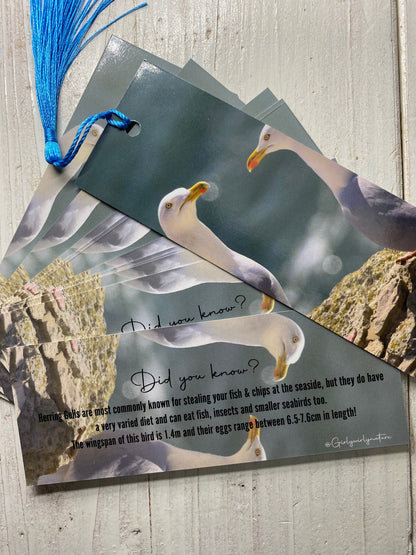 Herring Gull Bookmark - Devon coastal wildlife photography