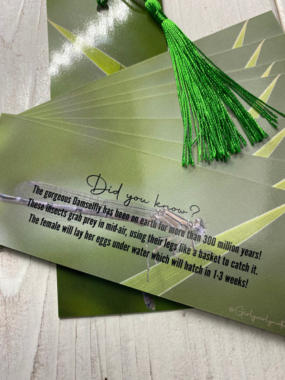 Damselfly Bookmark - Swindon wildlife photography