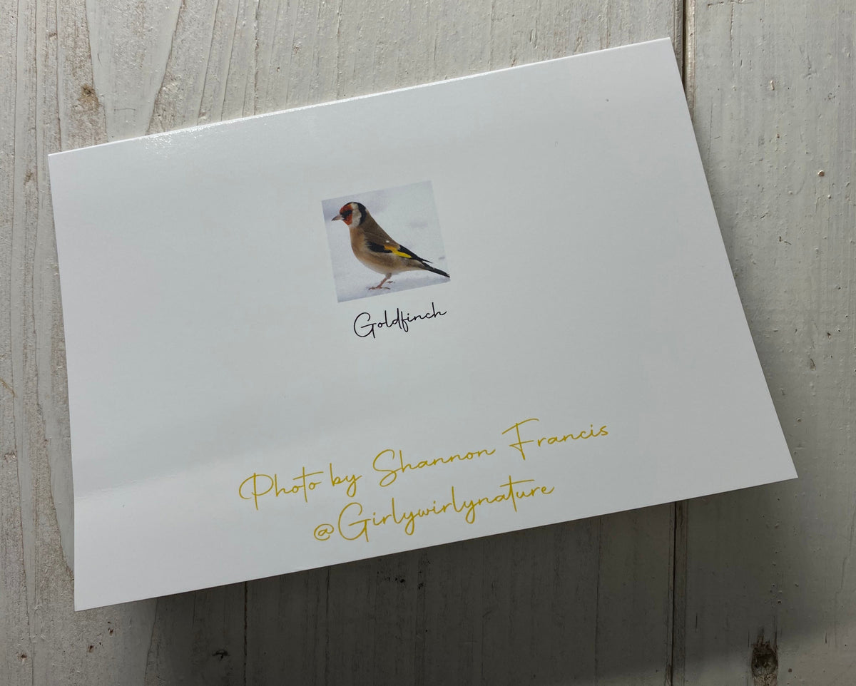 Goldfinch in the Snow Greetings Card - Swindon wildlife photography