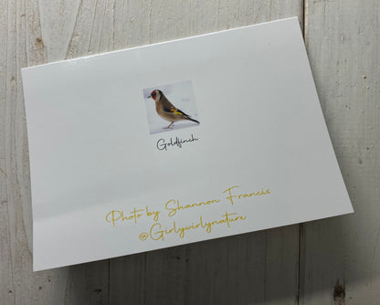 Goldfinch in the Snow Greetings Card - Swindon wildlife photography