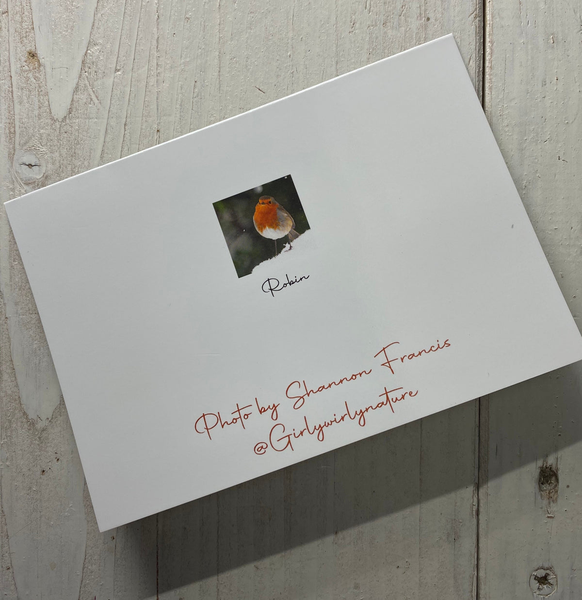 Robin in the Snow Greetings Card - Swindon wildlife photography