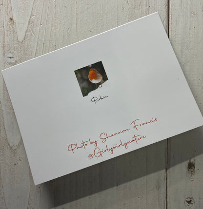 Robin in the Snow Greetings Card - Swindon wildlife photography