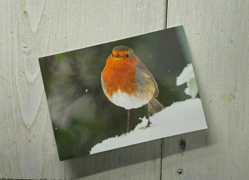 British Wildlife Christmas Cards 3 Pack - Robin, Goldfinch and Starling