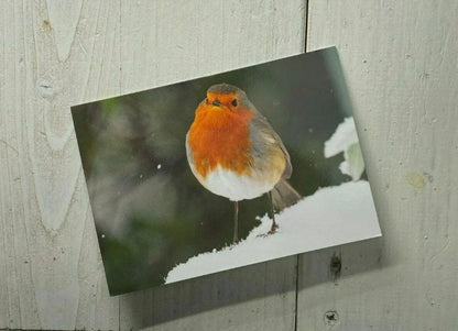 British Wildlife Christmas Cards 3 Pack - Robin, Goldfinch and Starling