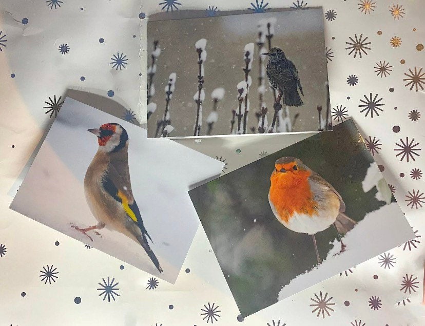 British Wildlife Christmas Cards 3 Pack - styled cover shot