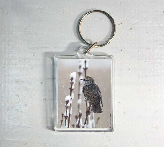 Starling in Snow Keyring - winter wildlife photography keychain