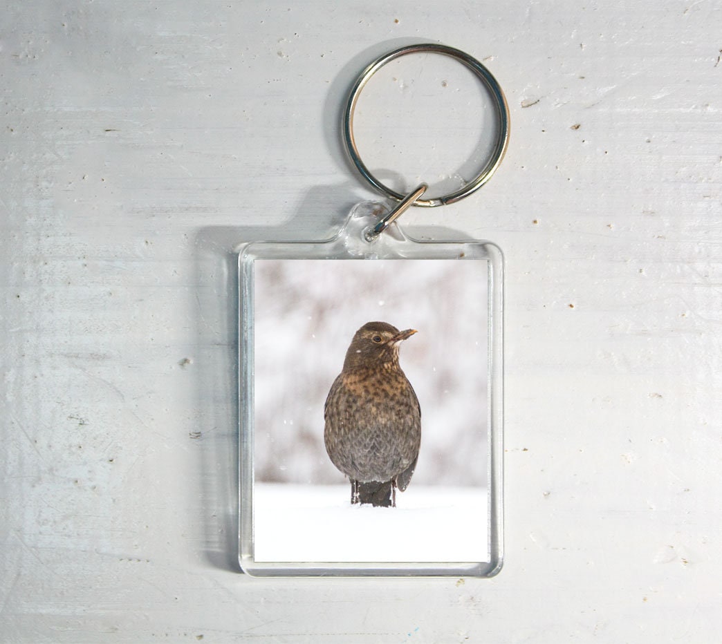 Blackbird in Snow Keyring - winter wildlife photography keychain