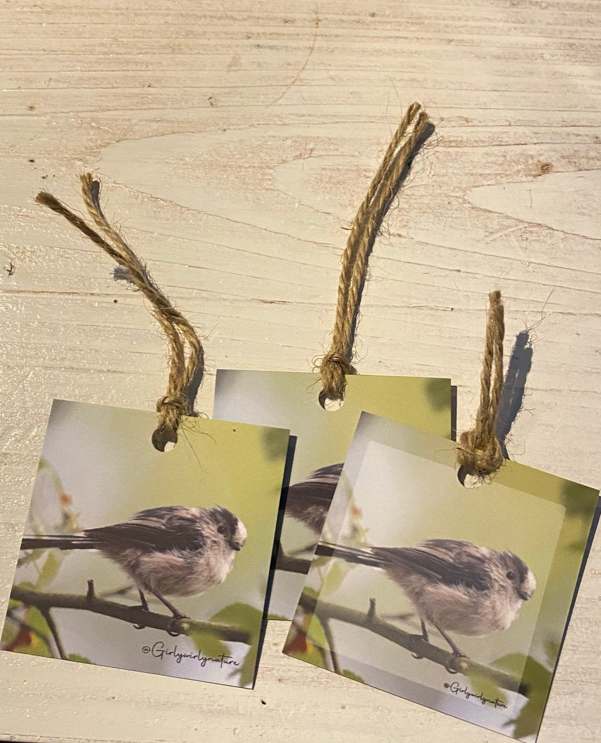 Long-Tailed Tit Gift Tags - UK wildlife photography