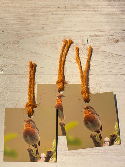 Robin Gift Tags - British wildlife photography