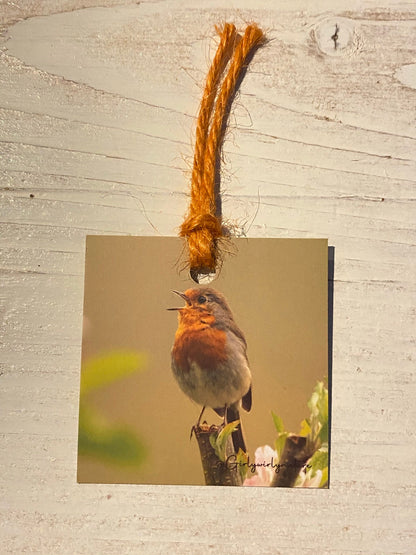 Robin Gift Tags - British wildlife photography
