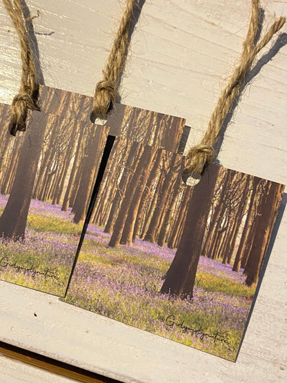 Bluebells Gift Tags - UK wildflower photography