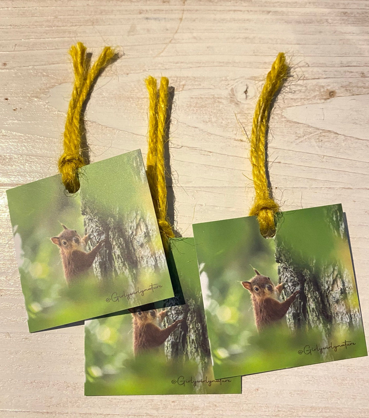 Red Squirrel Gift Tags - Brownsea Island wildlife photography
