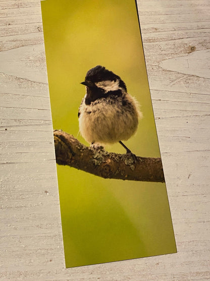 Coal Tit Bookmark - Swindon wildlife photography