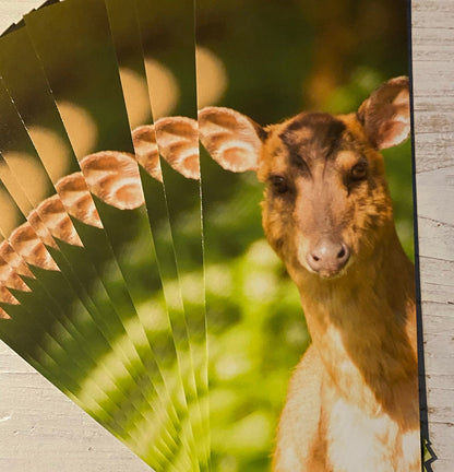 Muntjac Deer Bookmark - Swindon wildlife photography