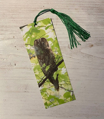 Tawny Owl Bookmark - Sussex wildlife photography