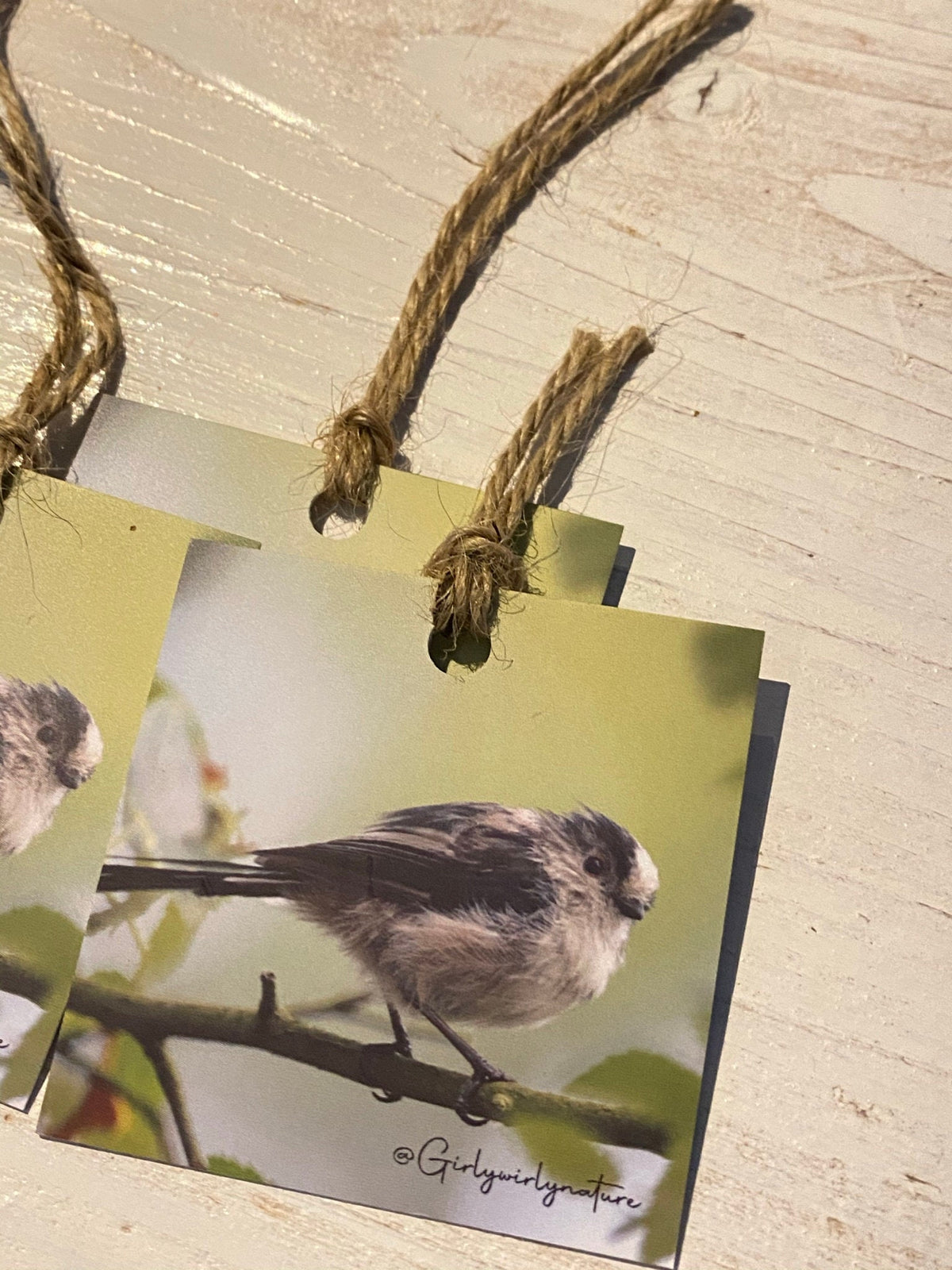 Long-Tailed Tit Gift Tags - UK wildlife photography