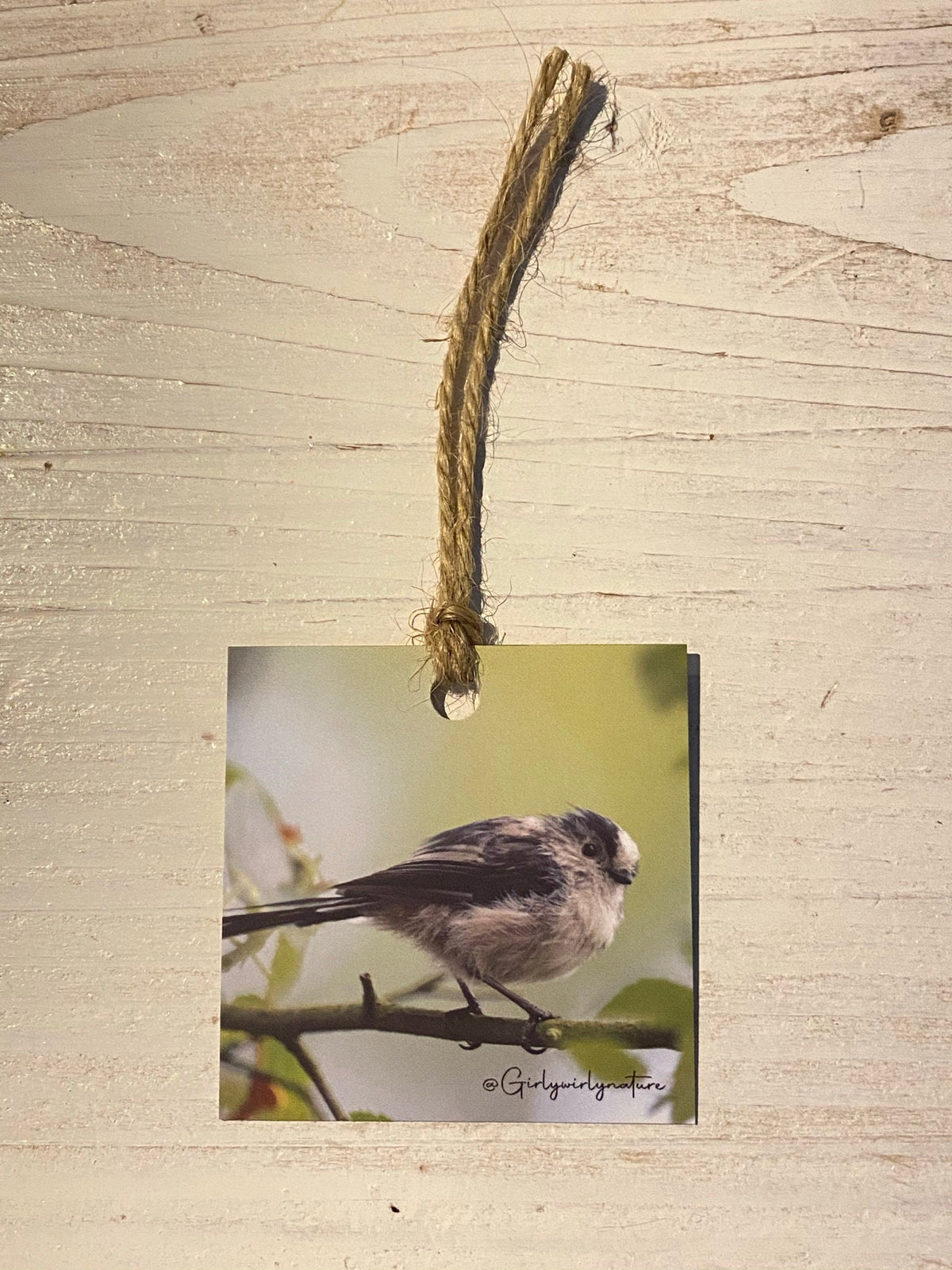 Long-Tailed Tit Gift Tags - UK wildlife photography