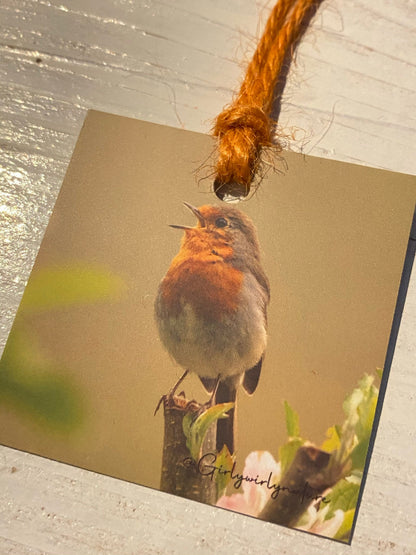 Robin Gift Tags - British wildlife photography