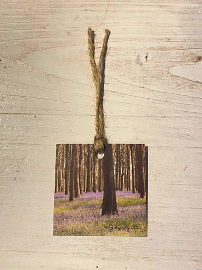 Bluebells Gift Tags - UK wildflower photography