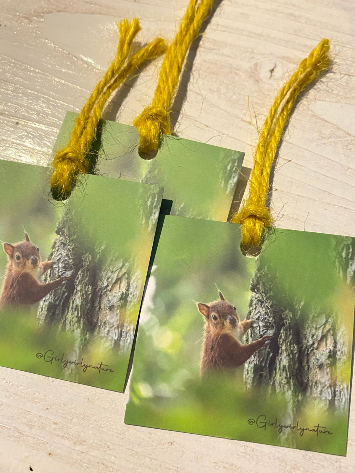 Red Squirrel Gift Tags - UK wildlife photography