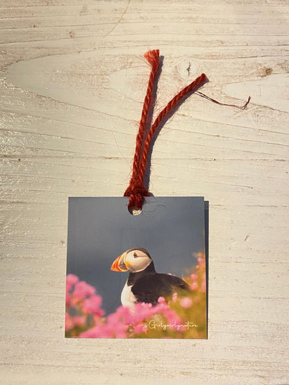Puffin Gift Tags - coastal wildlife photography