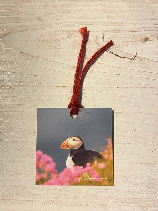 Puffin Gift Tags - coastal wildlife photography