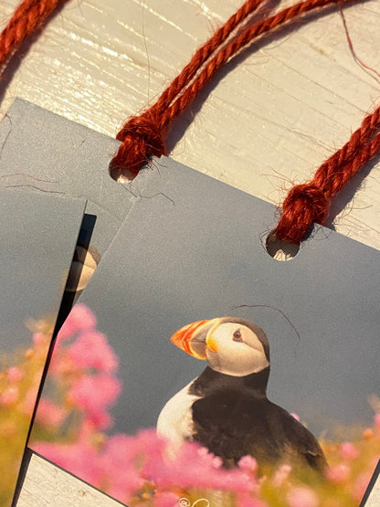 Puffin Gift Tags - coastal wildlife photography