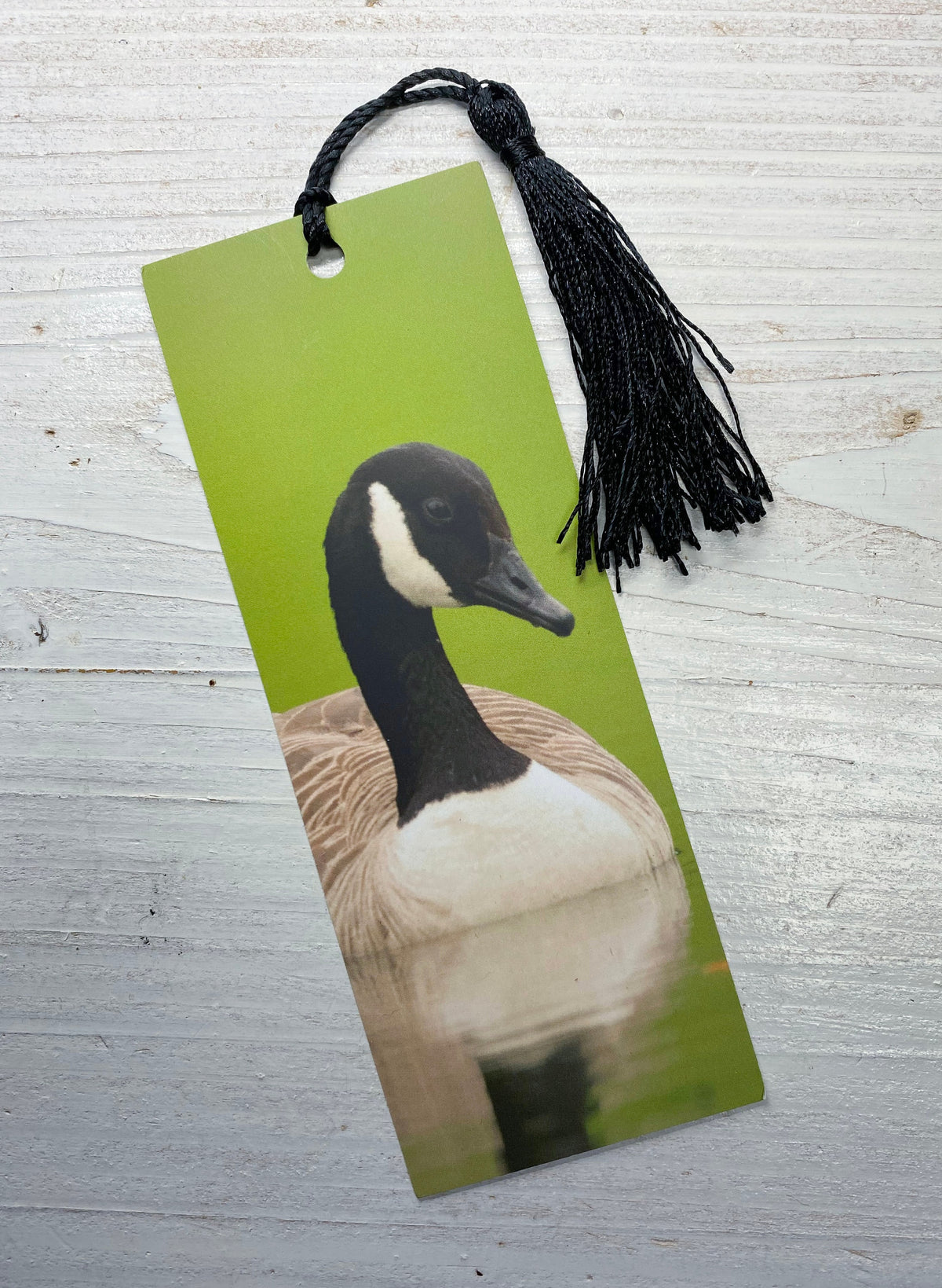 Canada Goose Bookmark - UK wildlife photography