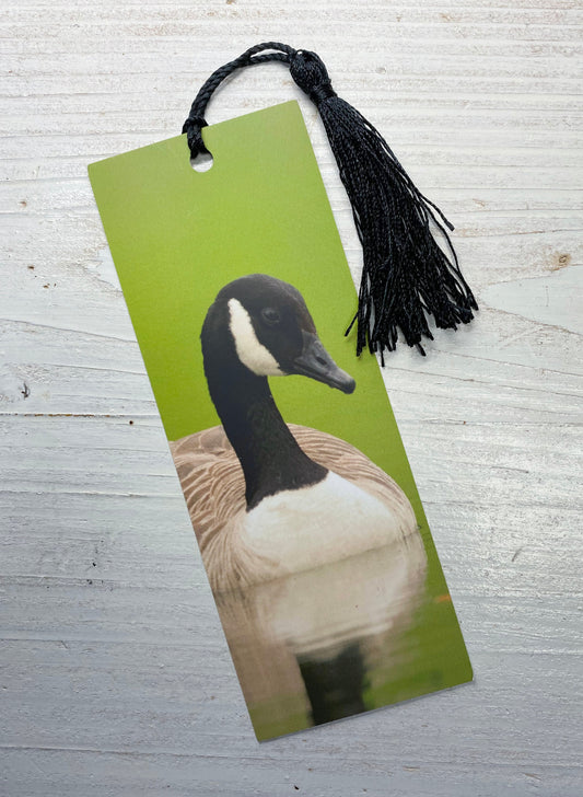 Canada Goose Bookmark - UK wildlife photography