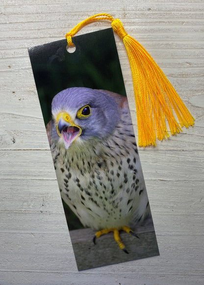 Kestrel Bookmark - UK bird of prey photography