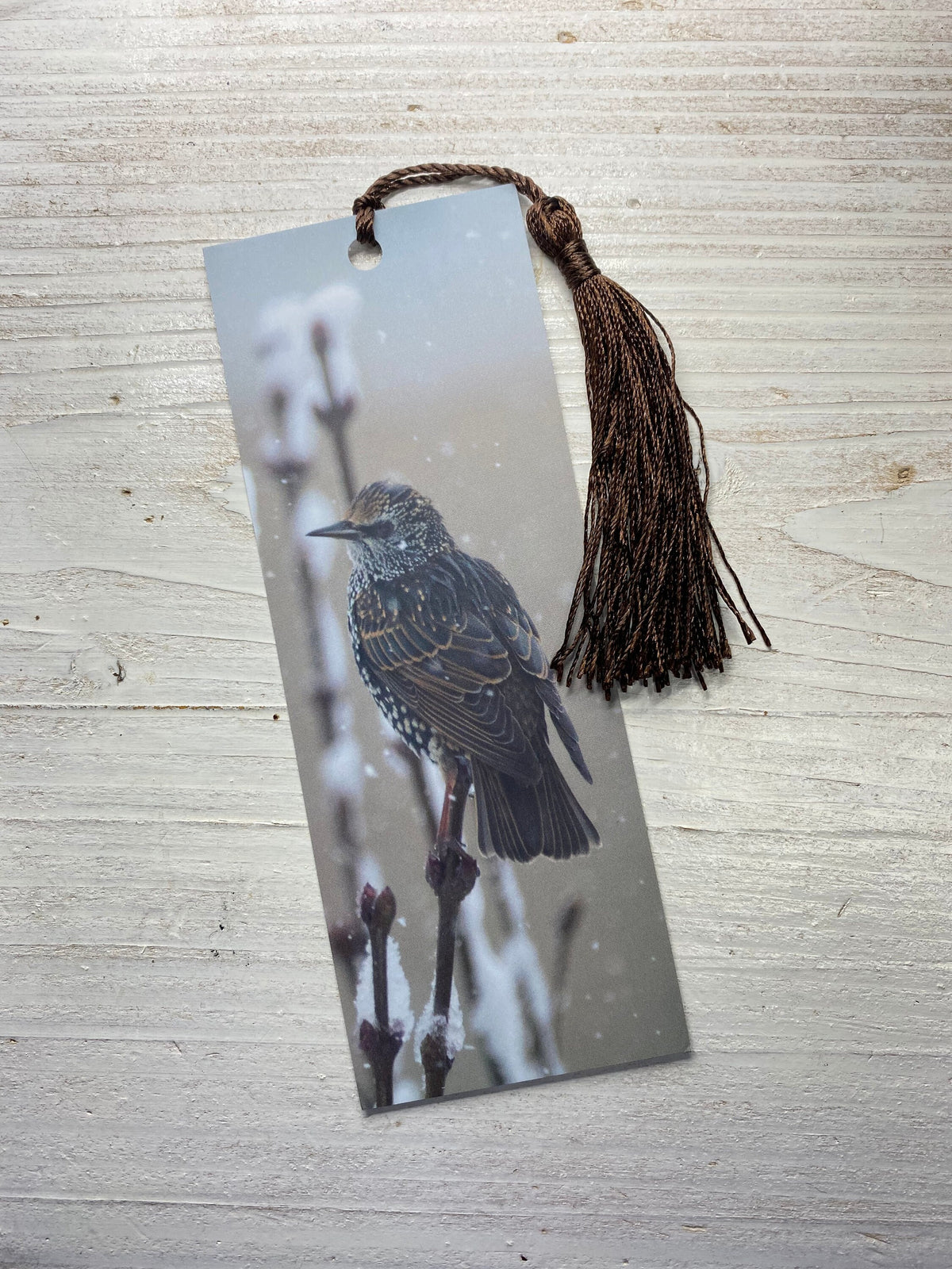 Starling Bookmark - Swindon wildlife photography
