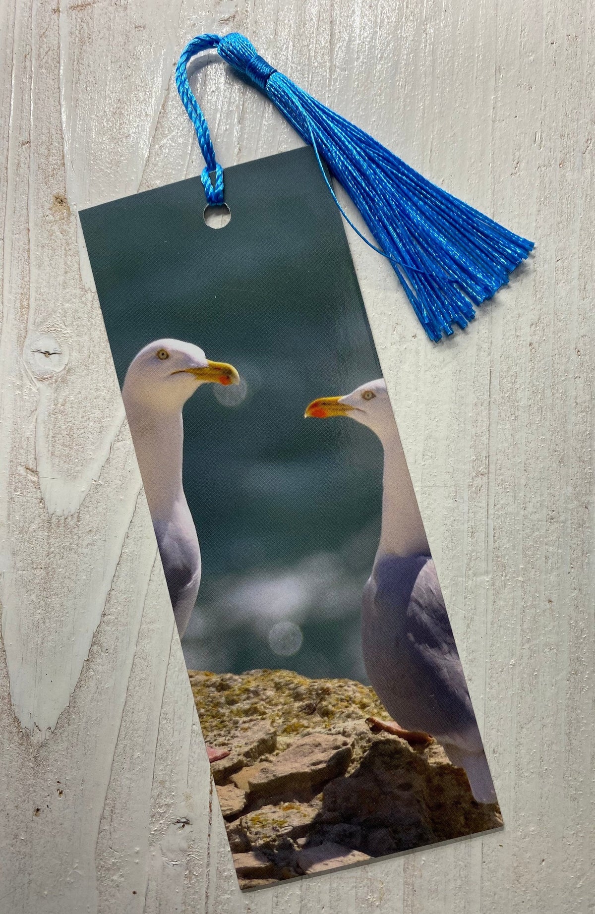 Herring Gull Bookmark - Devon coastal wildlife photography