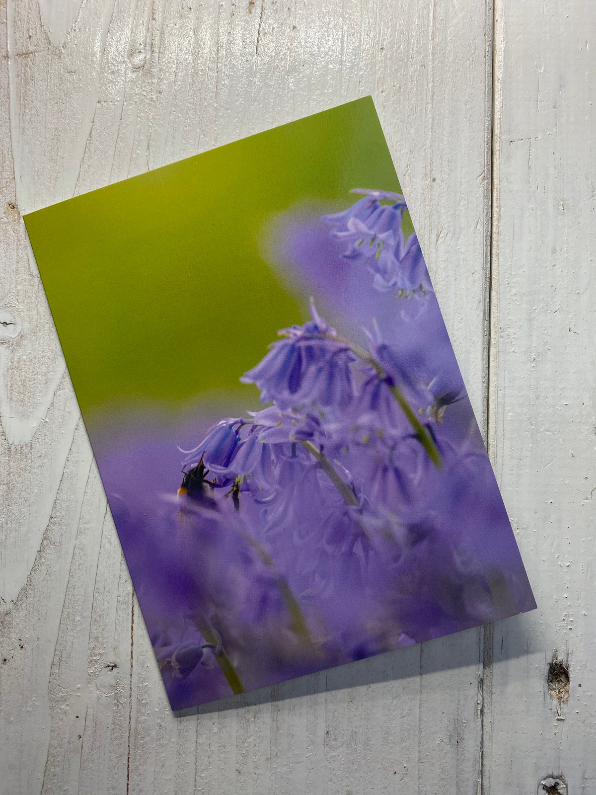 Bumblebee on Bluebells Greetings Card - Bristol wildlife photography