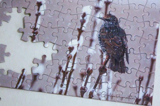 Starling in Snow Photo Puzzle - winter wildlife photography