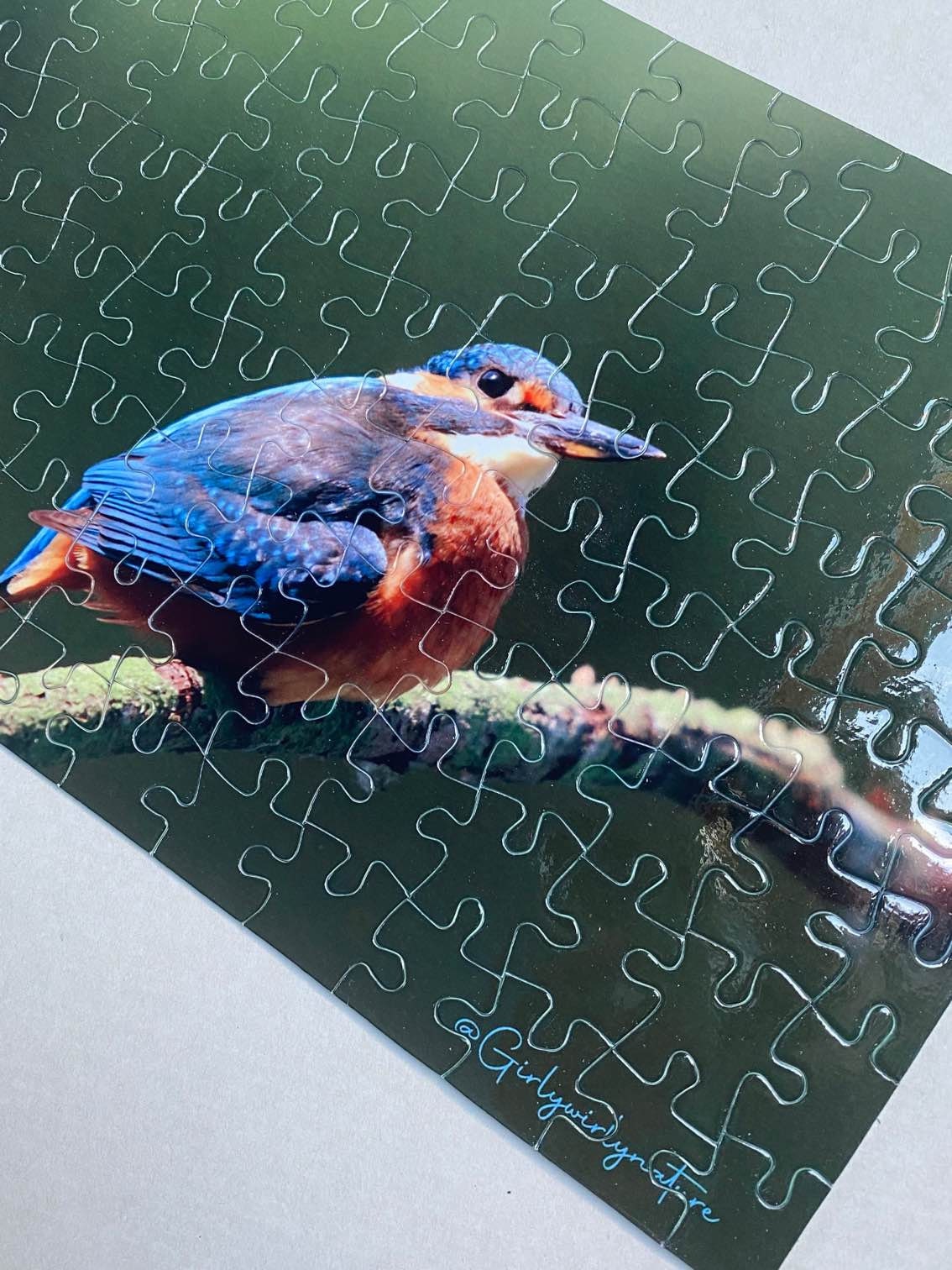 Kingfisher Photo Puzzle - UK wildlife photography jigsaw