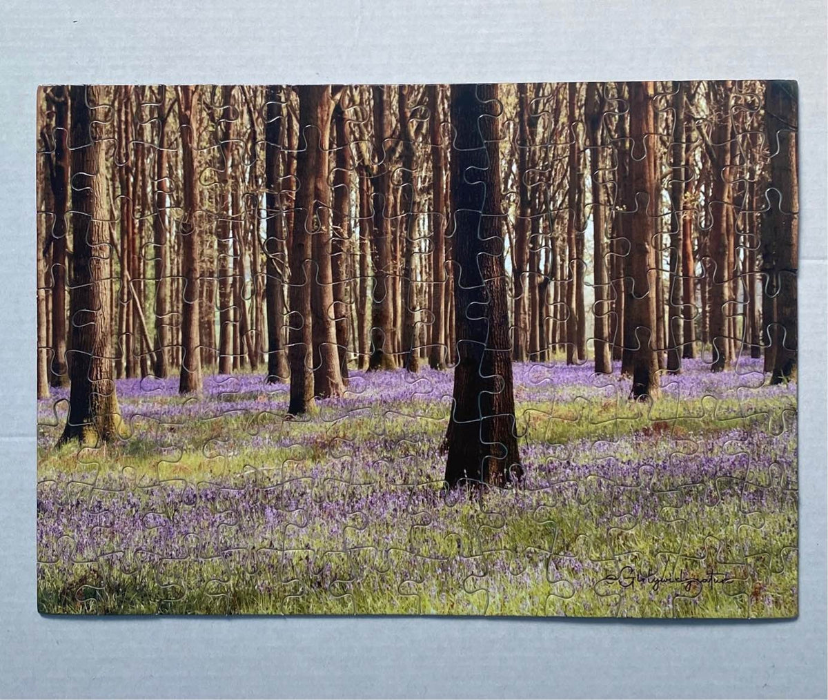 Bluebells Forest Puzzle - UK woodland photography jigsaw