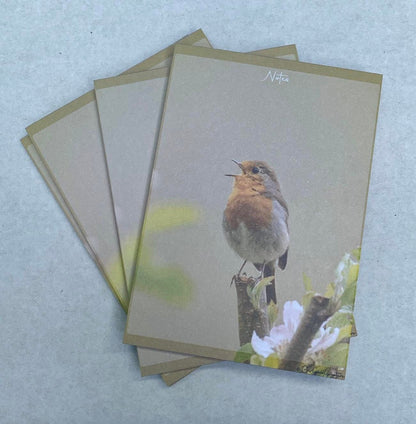 Robin Pocket Notepad - British wildlife stationery