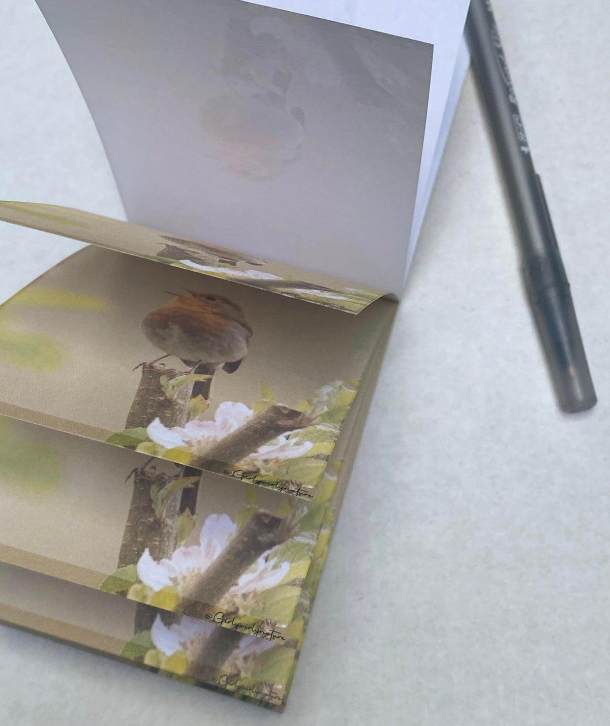 Robin Pocket Notepad - British wildlife stationery