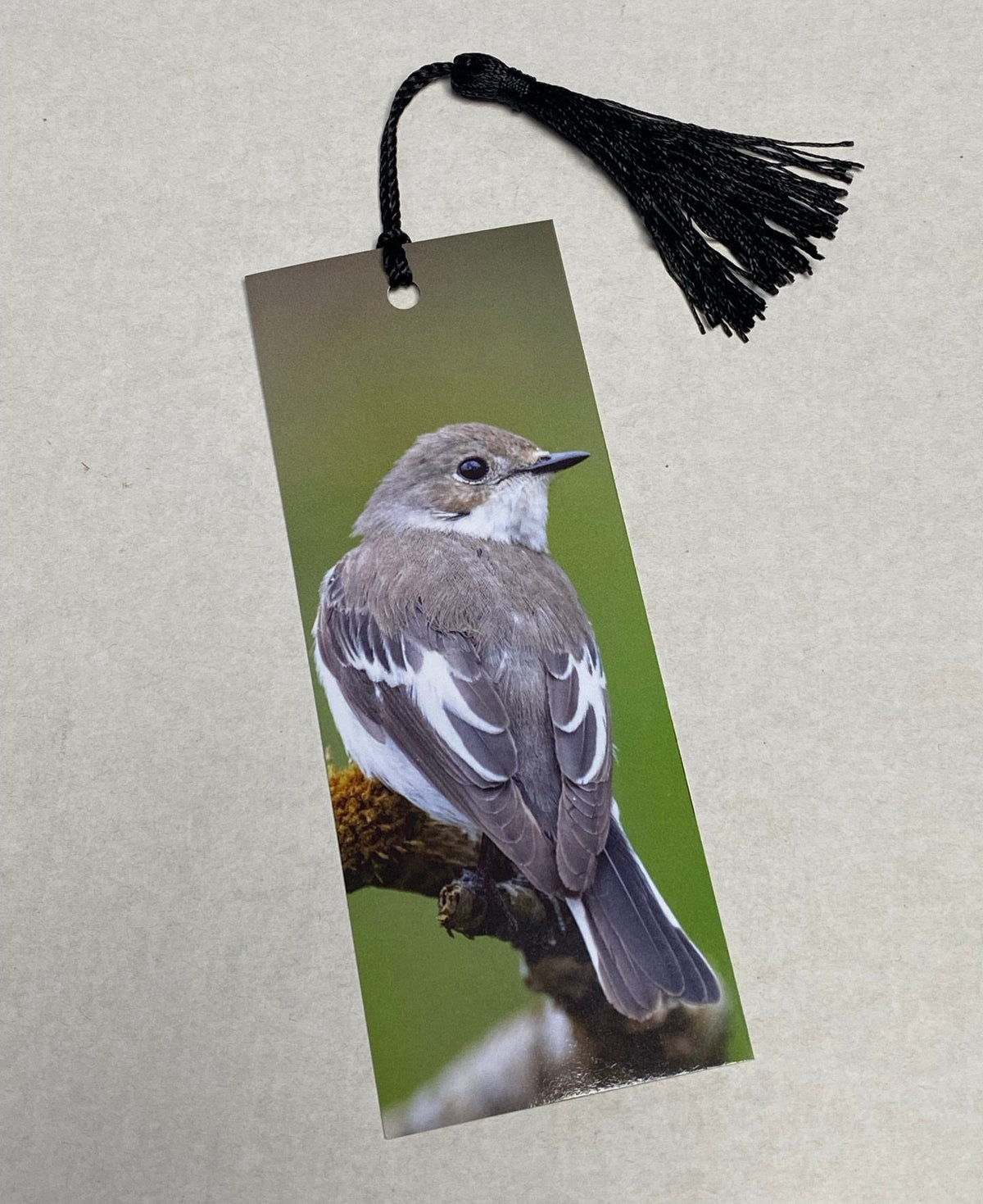 Pied Flycatcher Bookmark - South Wales wildlife photography