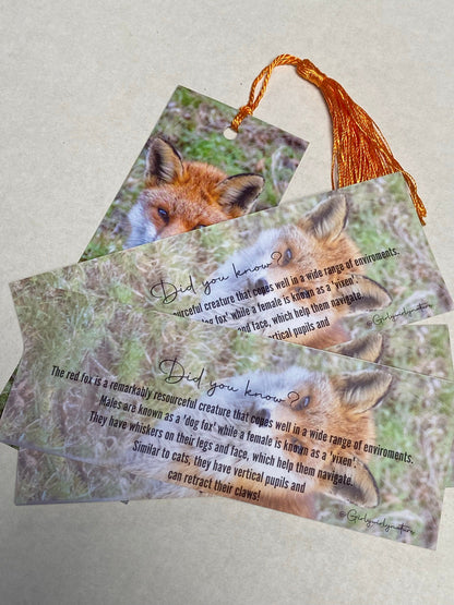Red Fox Bookmark - Bristol wildlife photography