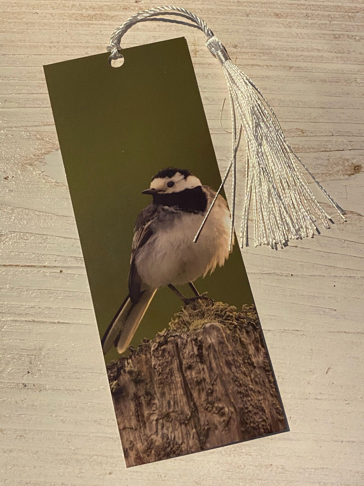 Pied Wagtail Bookmark - Scotland wildlife photography