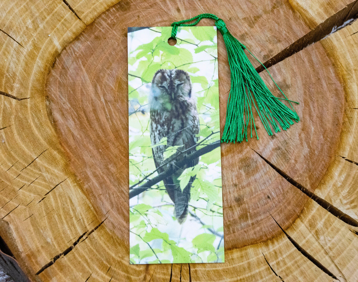 Tawny Owl Bookmark - Sussex wildlife photography