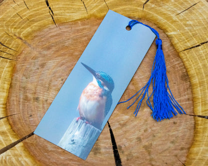 Kingfisher Bookmark - Swindon wildlife photography