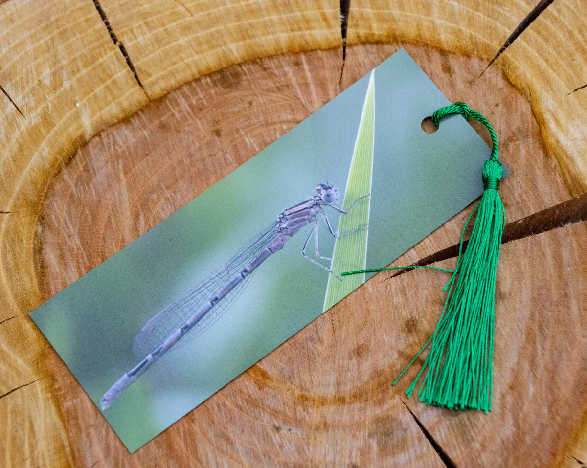 Damselfly Bookmark - Swindon wildlife photography